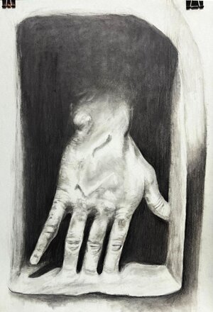 anatomia di un vaffanculo